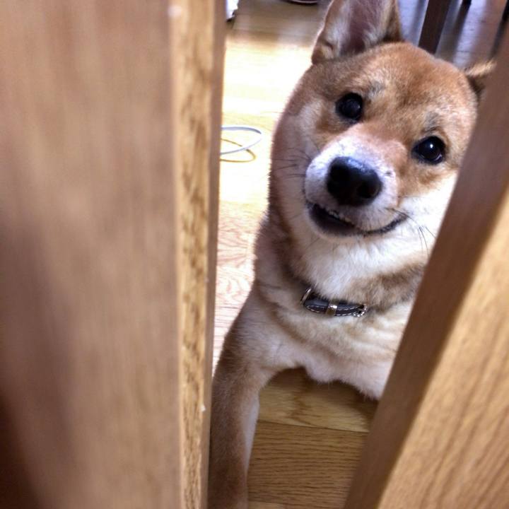 53c9c7bd aa96 4f65 8626 f4adb3590b77 1522040810684