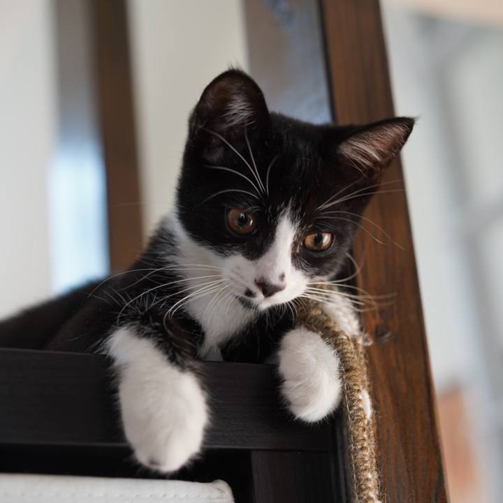 53c9d345 dccb 4d36 befa 1731771cc2a6 1570406169302