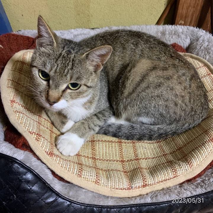 53ca1118 8076 45cf bee4 b3991305d0c7 1685569965584