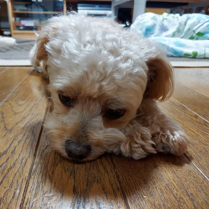 53ca1d7d 3460 4736 9c67 4c53fa09f0e2 1629962999462