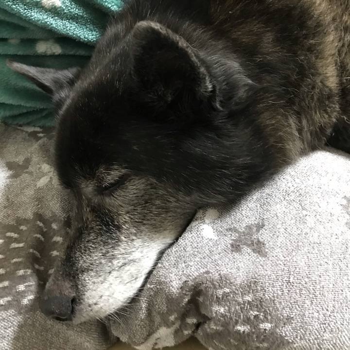 53ca30ea dab5 4a4a 8f29 382e666682aa 1606133964131