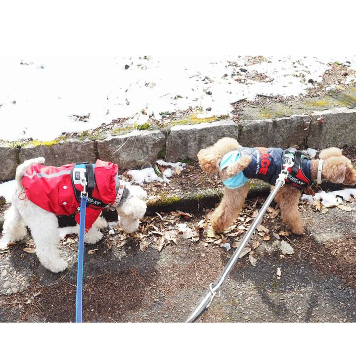 53ca4817 3334 45e8 933a 1fd64660ae11 1518928443839