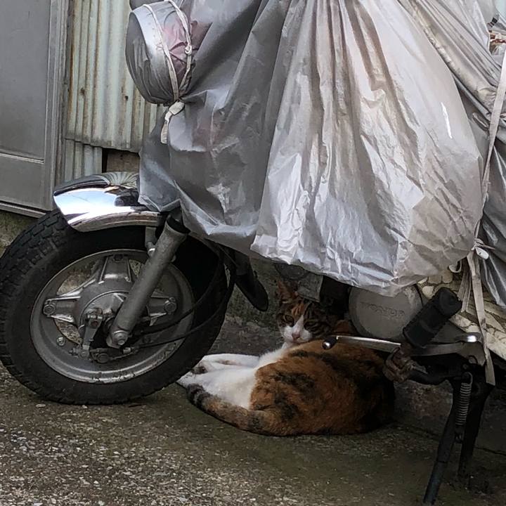 53ca6c44 b1e5 4eaf aae2 14cfd9c13d30 1531470566339