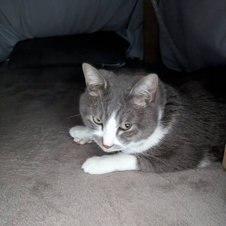 53ca8b37 b06c 439d 803c 13b2cd0ff587 1774662716736