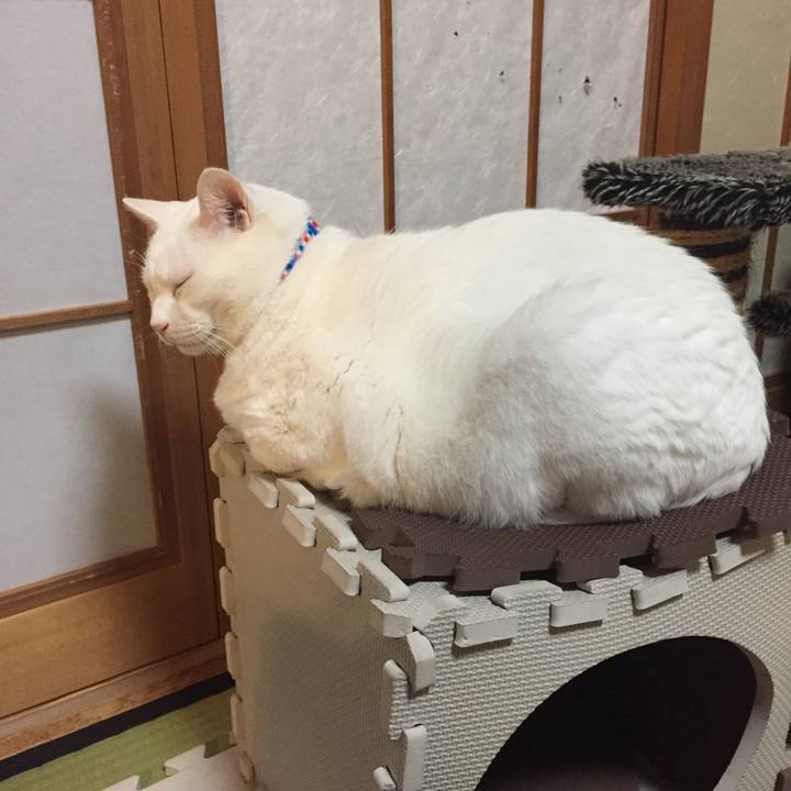 53ca8fe9 71c9 41a5 8f6f 2da0bf6536ea 1575292722215