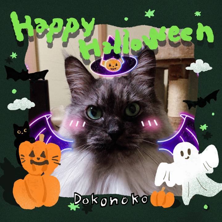 53ca9a8a 8412 4505 8b6a 05282ad601d2 1729947832225