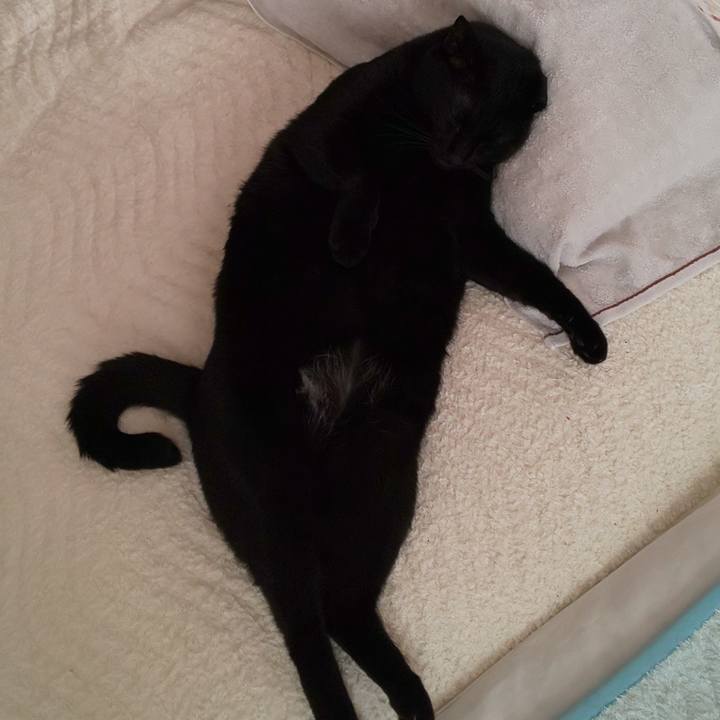 53cab680 c82f 4242 bf8c f57ce6e16e78 1654325903469