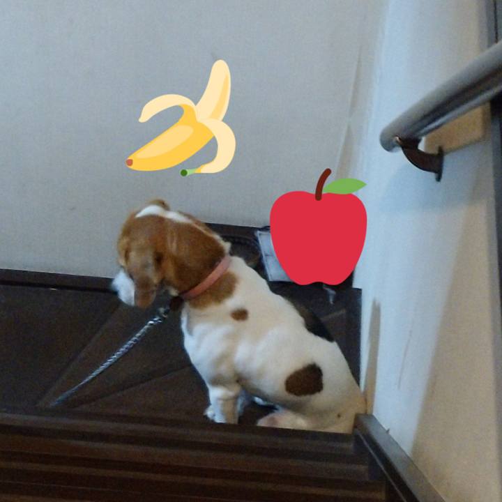 53cadc50 abba 4b34 9b06 be23dc522eef 1583594051527