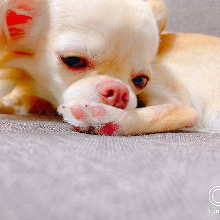 53caf7a1 60f1 4439 9229 7ec11a5e6473 1622253213347