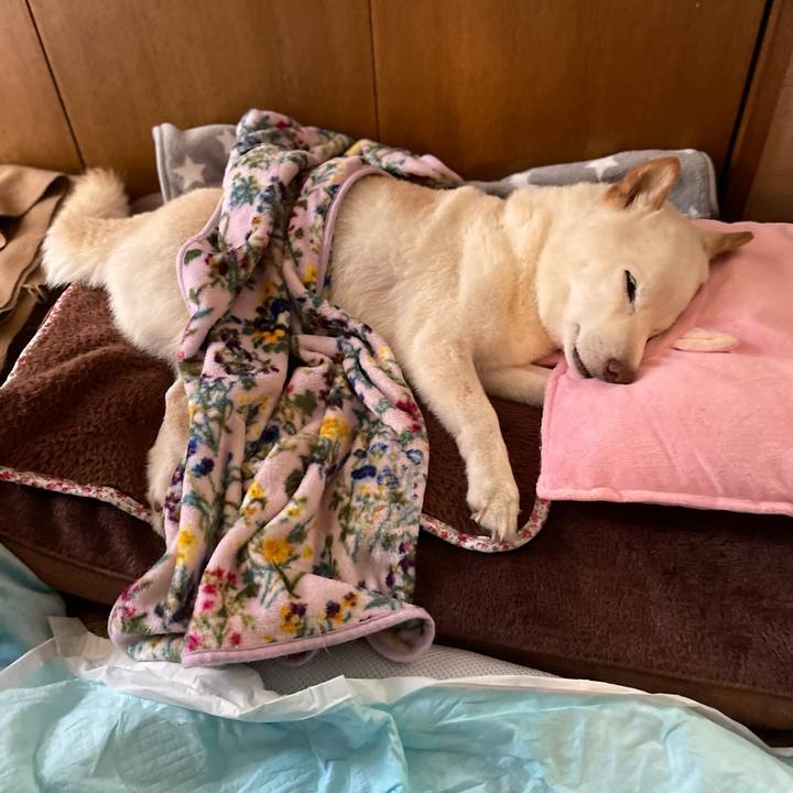 53cb31b2 a22b 487c 94b6 70ee8111887f 1649177034731