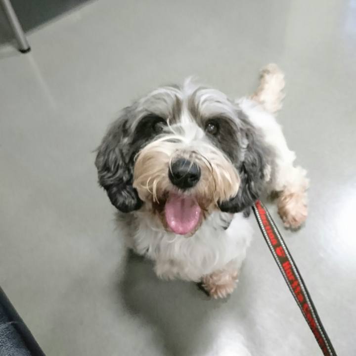 53cb61b1 abb7 401f b023 283d1f098d6e 1515502066279