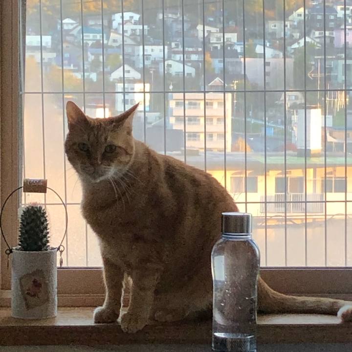 53cbdff6 57e1 43af 9825 a97608e8ff31 1604007224141