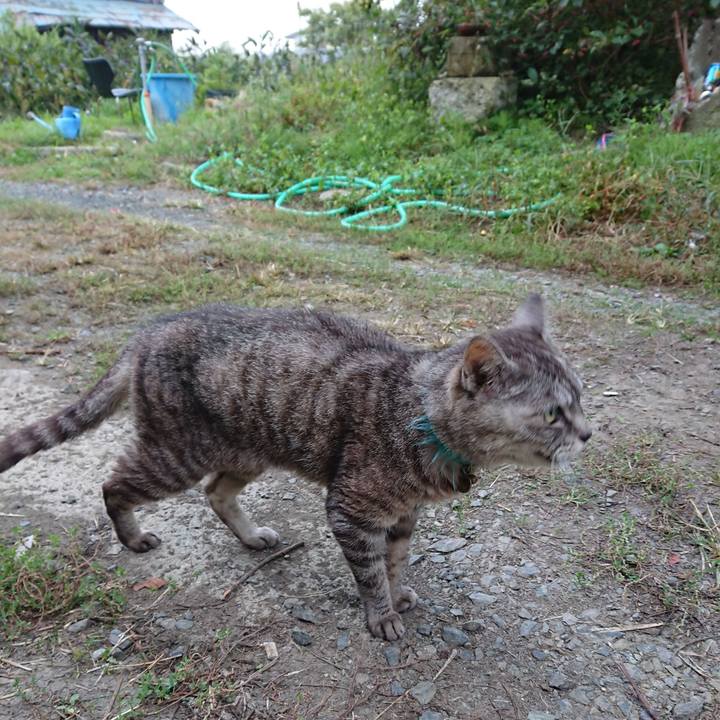 53cbec31 90b9 474d 9e4e 11d551fde93c 1569707480033