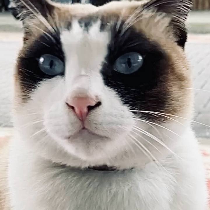 53cbf61b 7198 435c 9100 d7f96b37a9a1 1742090454451