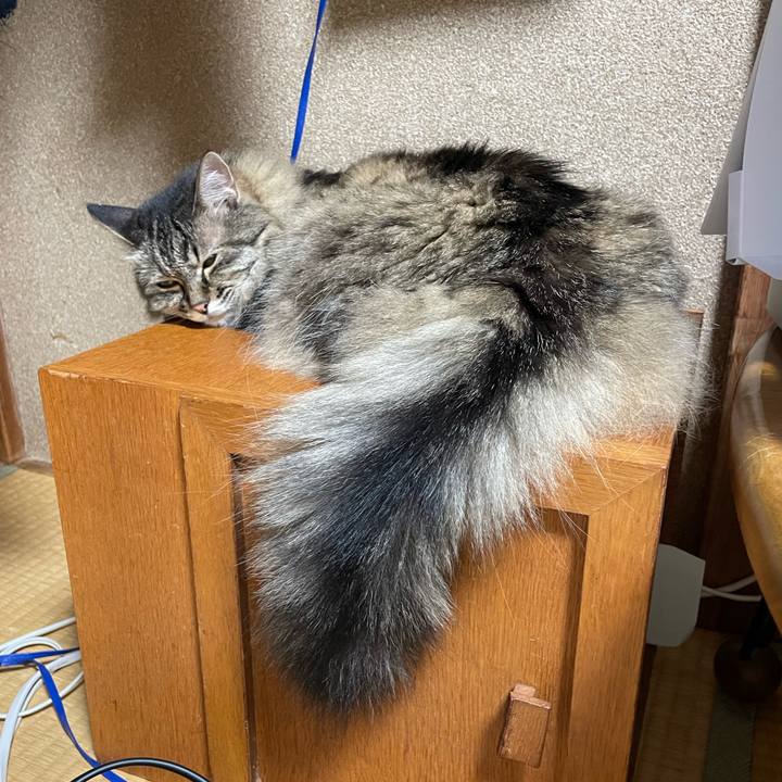 53cc1003 0bdf 47e0 9203 6e047f6ba2f2 1752732757968