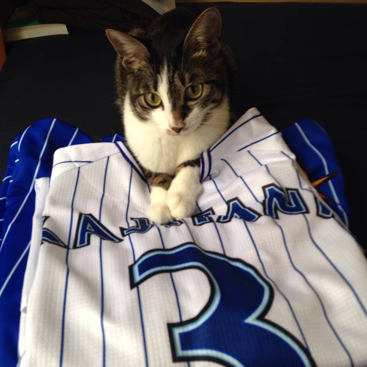 53cc2b97 7dbc 49bb b987 658862c94622 1508513963671