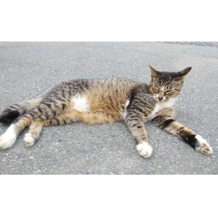 53cc4664 f569 4dd7 abc6 6924418facee 1600394682370