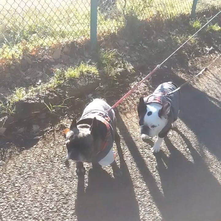 53cc47c1 ad08 46e4 bc6d 9e8792e70254 1735625084949