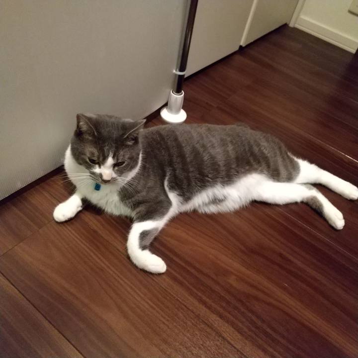 53cc8a65 1598 4617 9150 9b65f83d4441 1606945588357