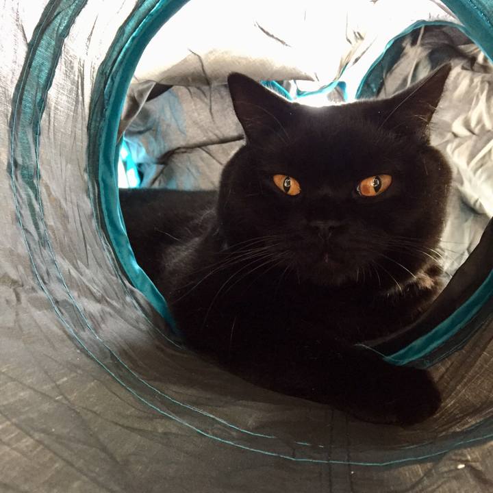 53cca319 d2c9 4096 9e6f bb80c5e5e9e6 1573794224102