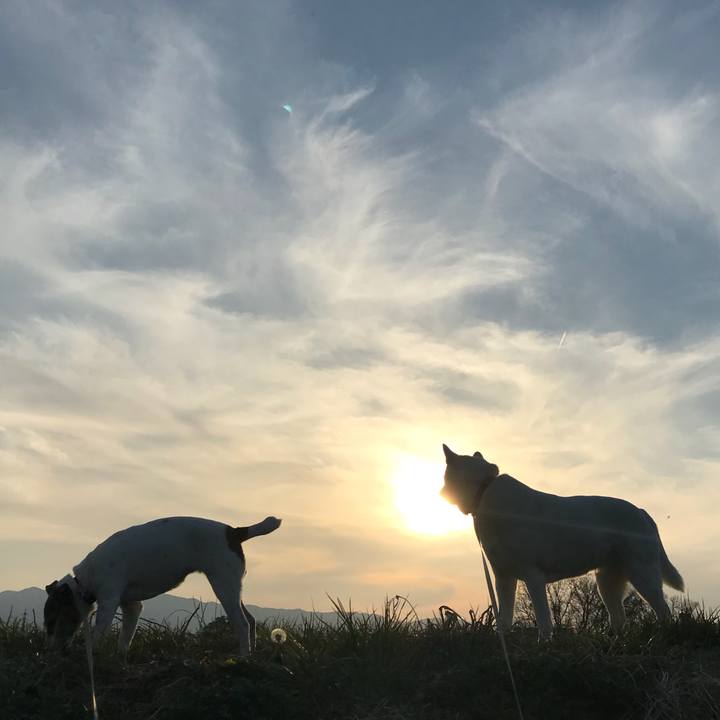 53cca38f f1fb 4195 a6a1 d047e269a25e 1520155141257