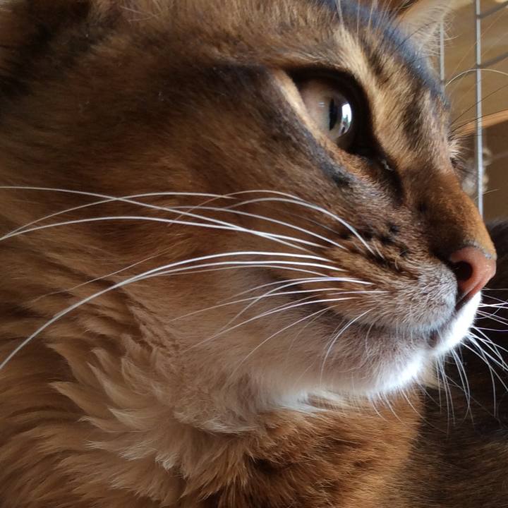 53ccabba b578 4a65 bbb5 e56e72a1de32 1565059522387