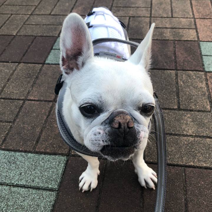 53cd1183 2eb4 48c4 9a20 a734a5fced5c 1647087487837