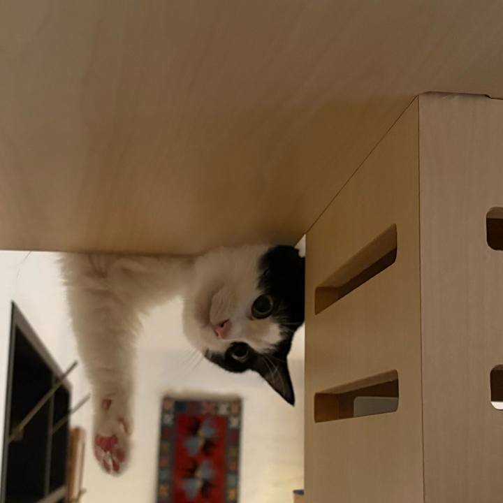 53cd27cb 69a5 4d90 ba76 b0ffb0fd96e5 1762465953841