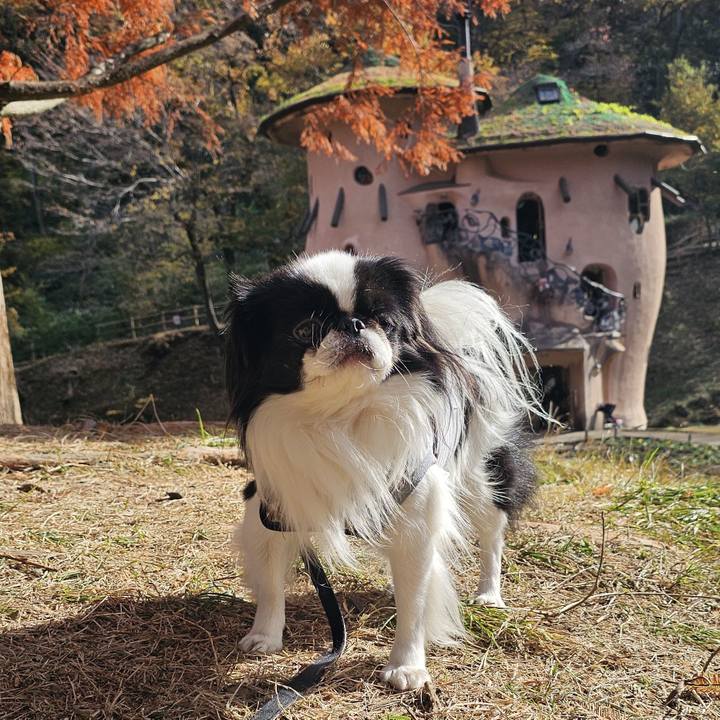 53cd74ba b9c7 40e4 9d35 c04f52ec19e3 1733308499795