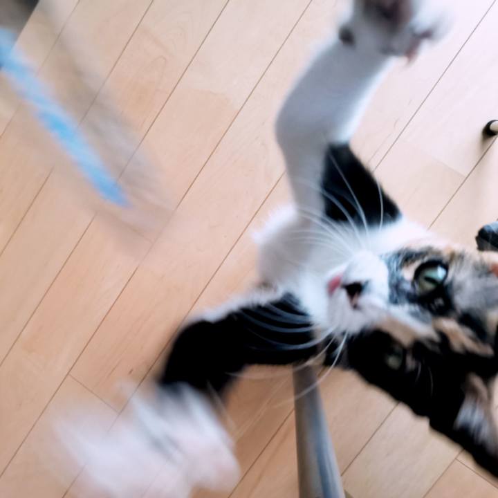 53cd80a9 dacc 4c3d a397 785a40d551da 1600872409053