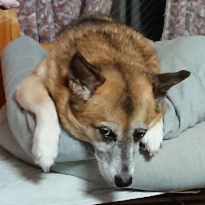 53cd945e f14a 4ed5 9bdd ff1a12ebb2c7 1535108950236