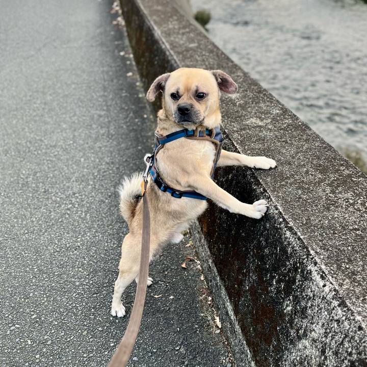 53cdb105 a493 47fd a0c7 3b1de4d16556 1763536699461