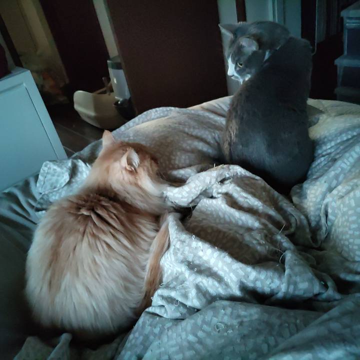 53cdfcc5 8a20 445f a083 706c9ca423dd 1710108582083