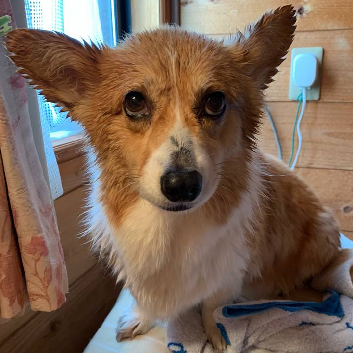 53ce2670 44de 4399 9753 a8a34e51d005 1648880219148