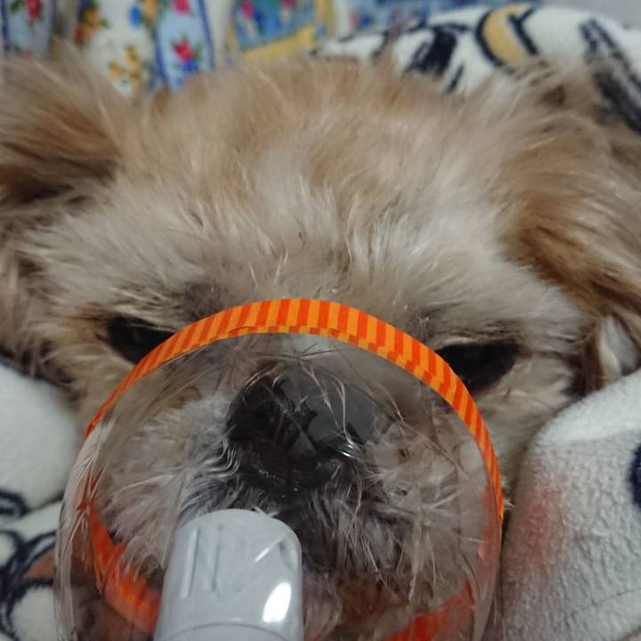 53ce79ec eb91 4de2 a4b9 17d560807f38 1523973548260