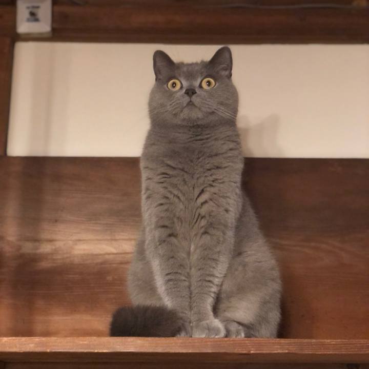 53ce7b2d c841 420d b193 107354869a03 1590930502312