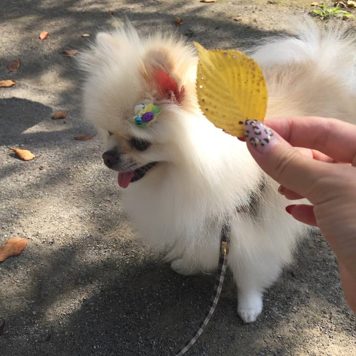 53cebf48 d721 4604 a1dd 9a9cd7f5878e 1569547606094