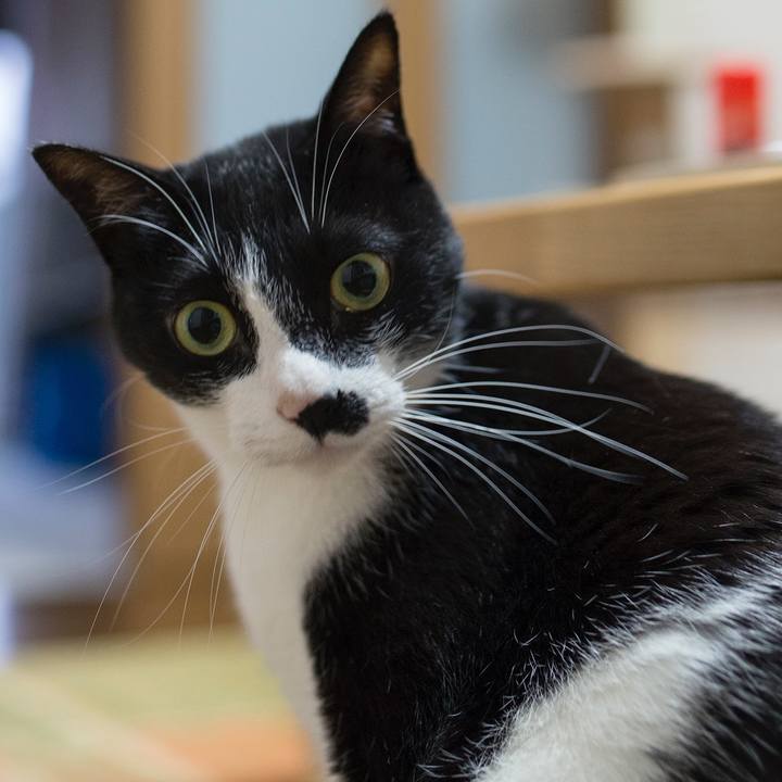 53cf7089 ab7a 4a20 bfd2 9bbd97a6b38b 1527590153943