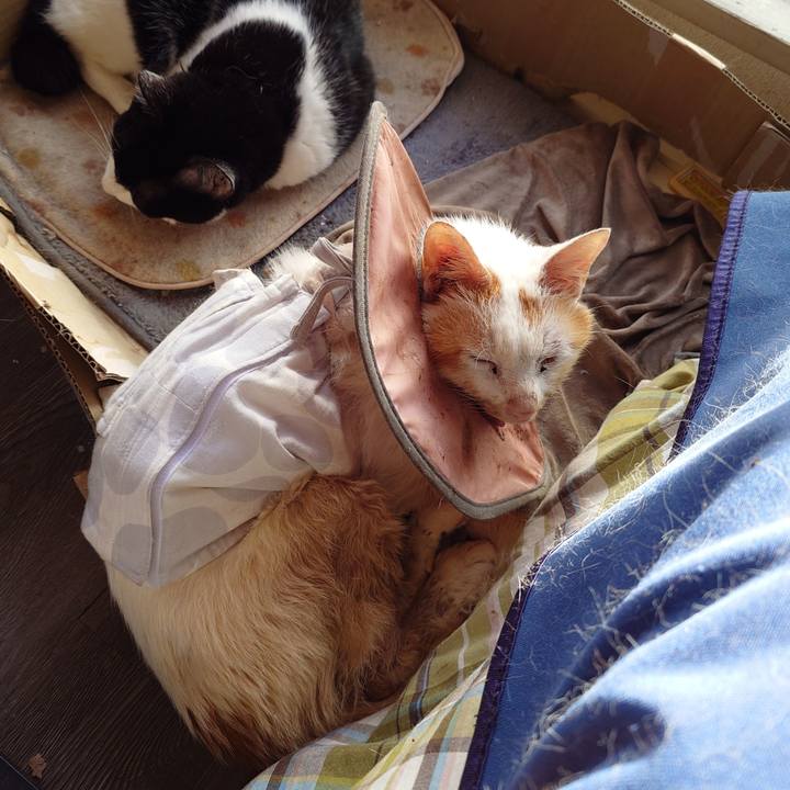 53cf950b 84a9 40c8 ad8c b32cd5bd67e2 1765341084713