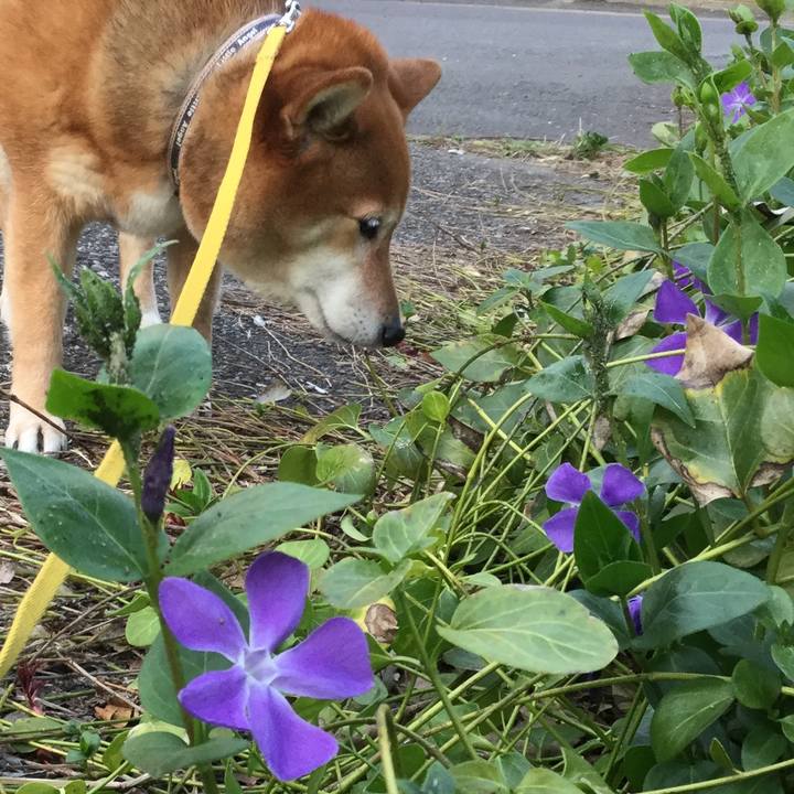 53cfff14 6211 42e5 af76 39df43b926ae 1553690260747