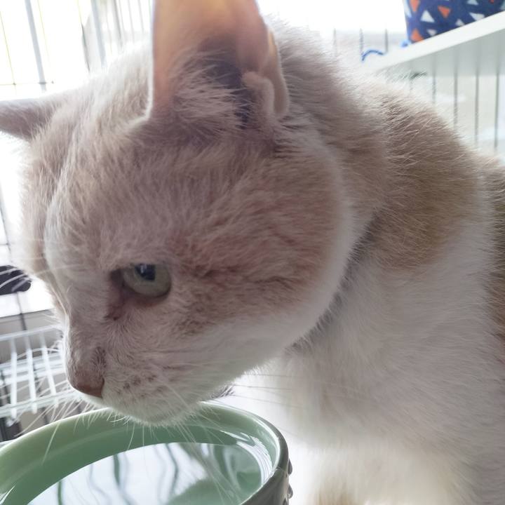 53d00caa 6dd1 4c41 aa52 12d824e0a46e 1698187075063