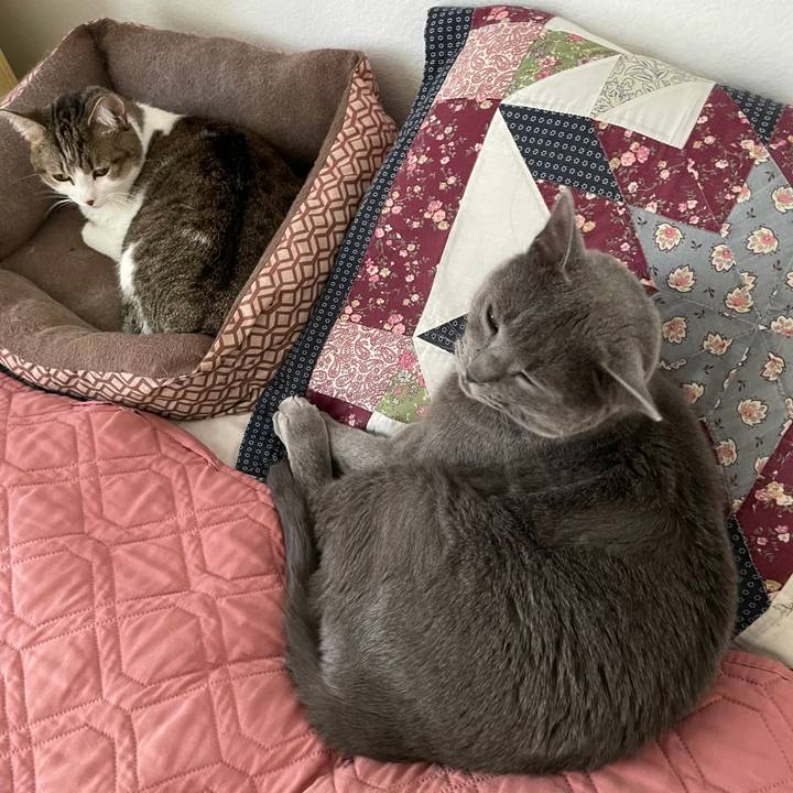 53d0240d a6f4 4e6e 8cc6 af055a285e30 1695168898319