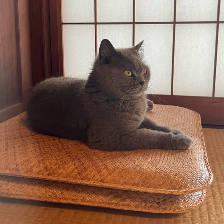 53d02ae0 0a73 4678 9681 6906d5b53ffe 1687566672975