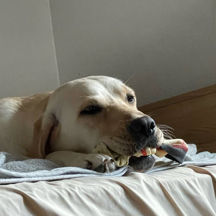 53d0460d 8c75 4033 ac8b 8440ac99eaa7 1658700294035