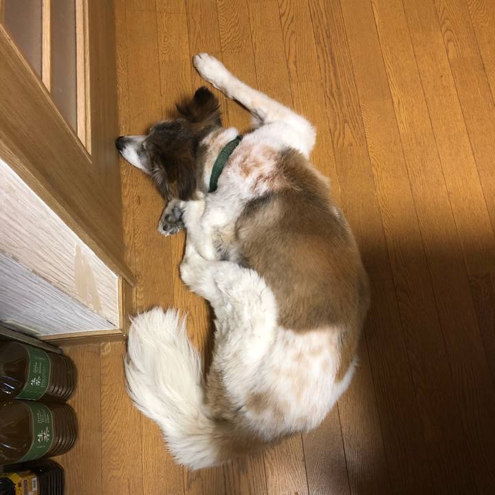 53d07b5d 5afa 4ac4 a964 9f876b8bb3ac 1525485259690