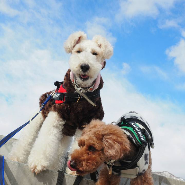 53d09126 40e5 49f0 a5a6 2a5d6b0a2a6f 1514610523813