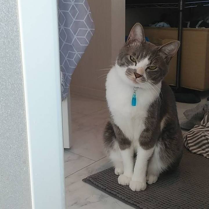 53d0acb7 7c73 4b90 b3d9 82060c2c9e6c 1618908452444