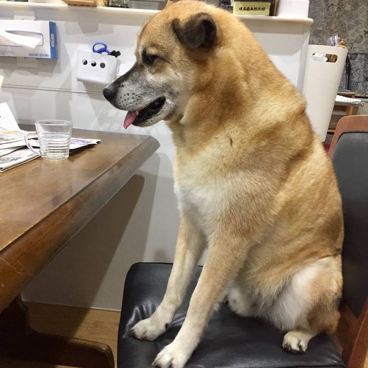 53d0af32 e9e0 47d0 8d01 364644d278c3 1563687309687