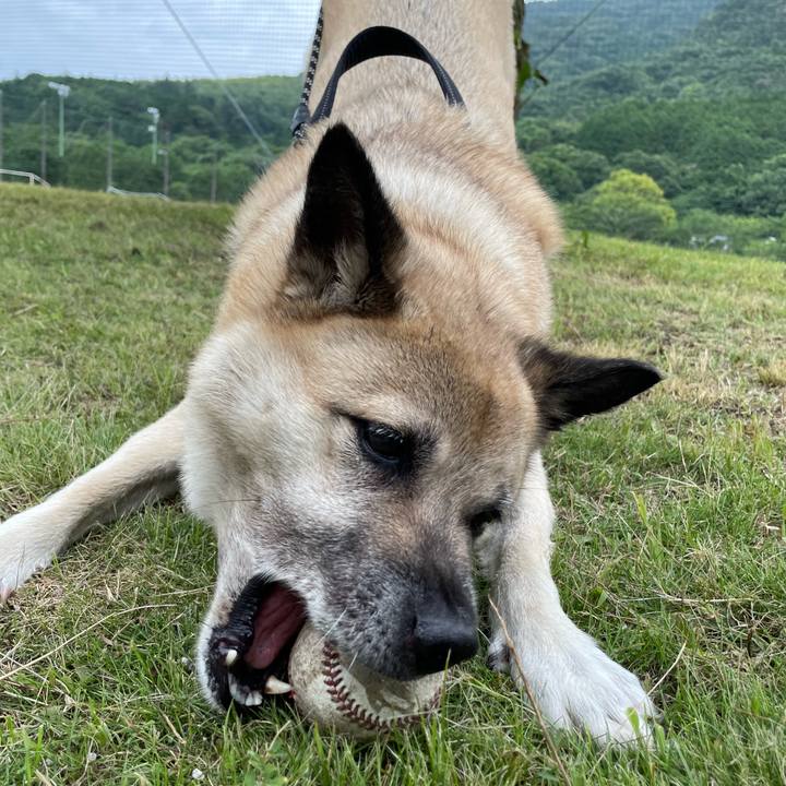 53d0b1ea e352 4199 b5f5 69156cb6636b 1720865963601