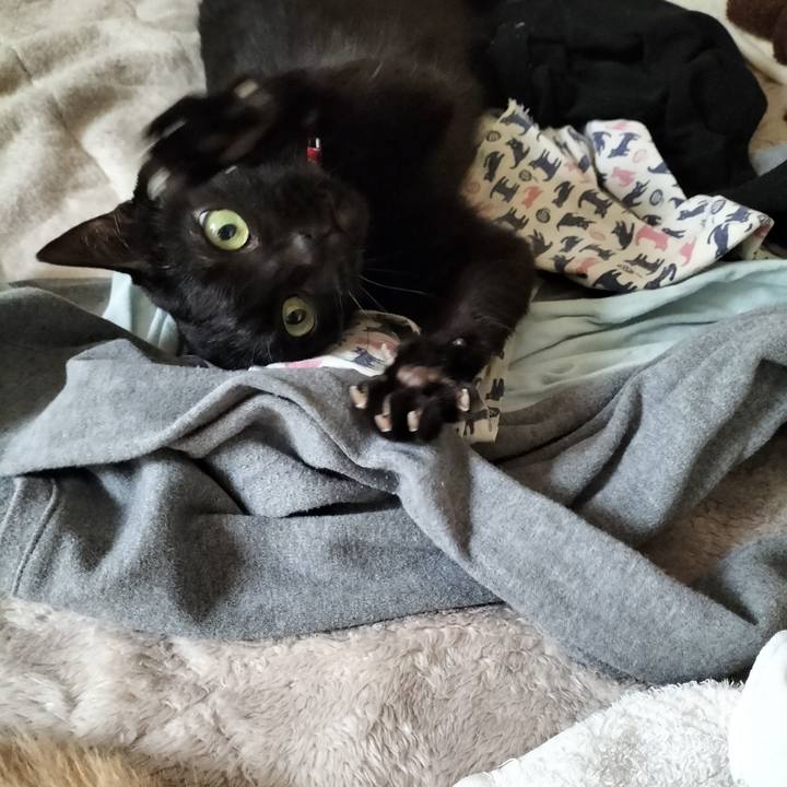 53d0df50 6868 4ba2 ab5b d59ff4fbe90d 1643500786255